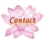contact